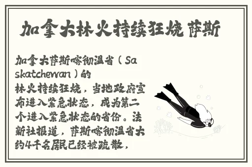 91绯红小猫在线视频